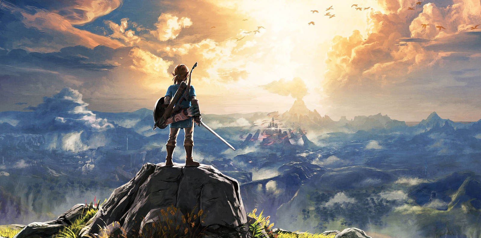 Link contemple le royaume d'Hyrule